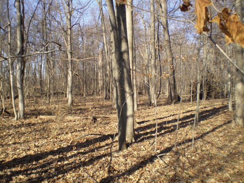 Property photo 3 - 159 Acres Offered in 7 Tracts